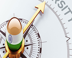 India Entry Services